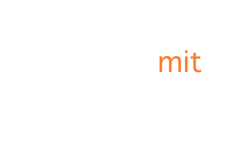 Immun mit System Logo